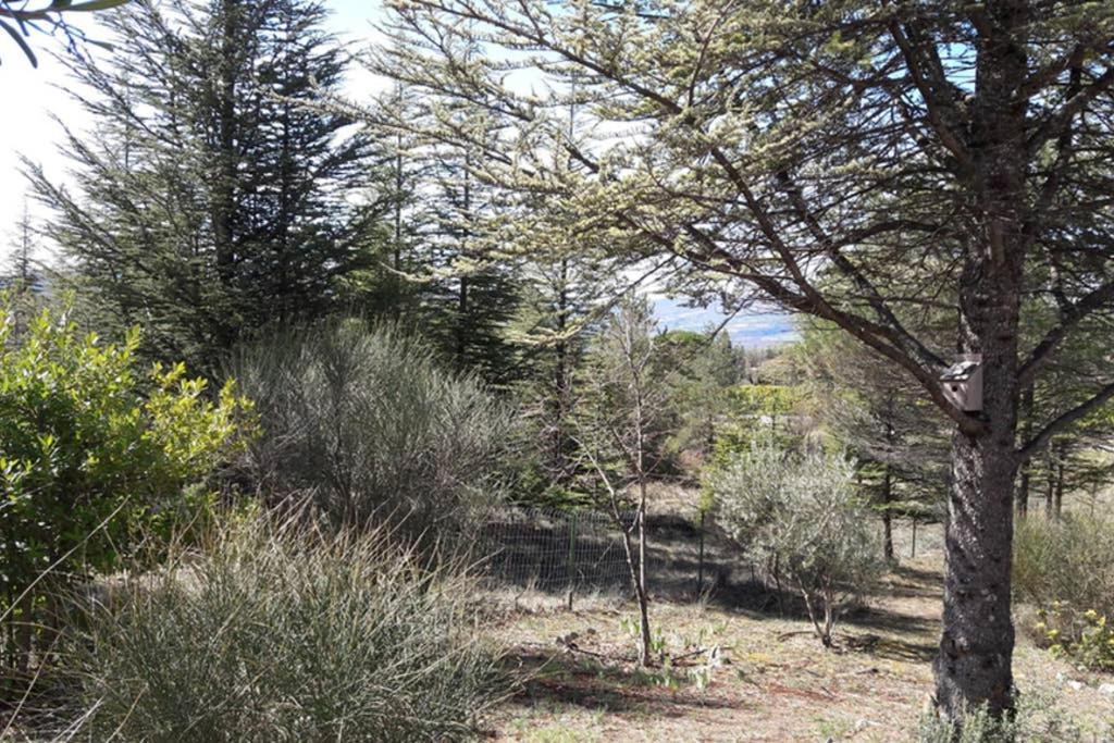 Villa La Lurette, Appartement Et Studio Saint-Étienne-les-Orgues Εξωτερικό φωτογραφία